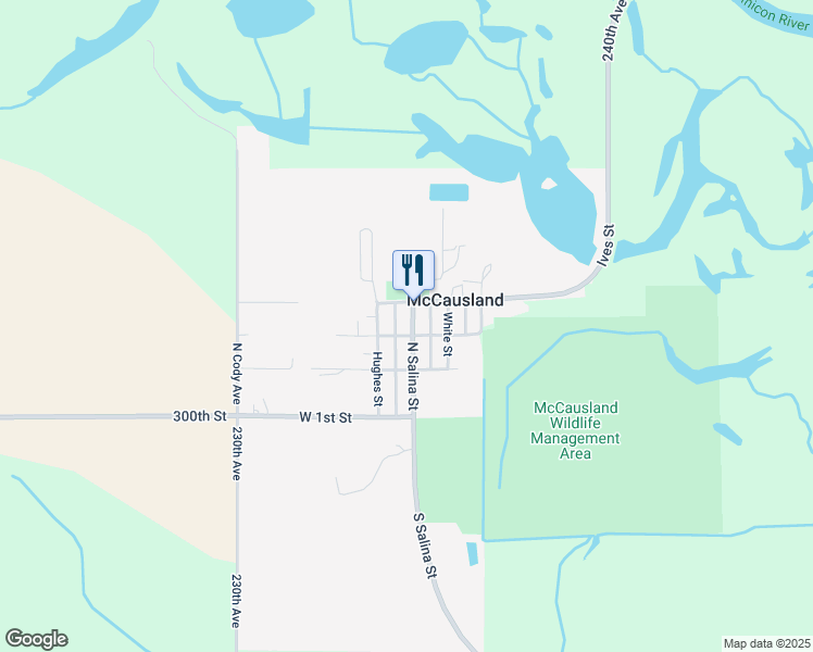 map of restaurants, bars, coffee shops, grocery stores, and more near 304 North Salina Street in McCausland
