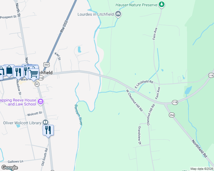 map of restaurants, bars, coffee shops, grocery stores, and more near 220 East Street in Litchfield