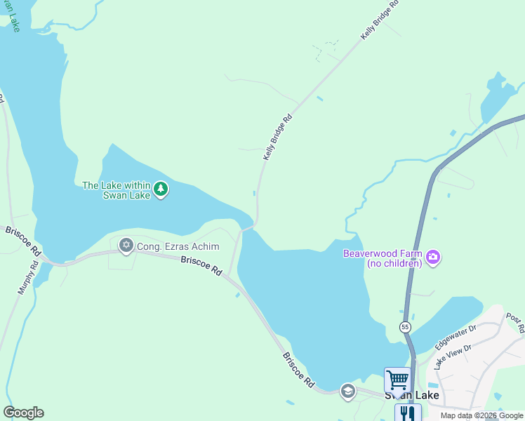 map of restaurants, bars, coffee shops, grocery stores, and more near 363 Kelly Bridge Road in Swan Lake