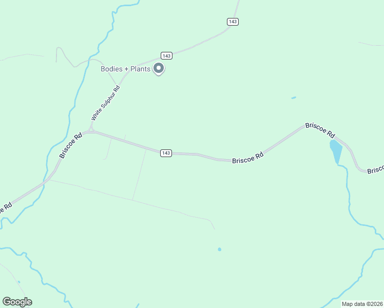 map of restaurants, bars, coffee shops, grocery stores, and more near Briscoe Road in Swan Lake