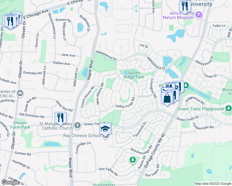 map of restaurants, bars, coffee shops, grocery stores, and more near 6446 Hanover Court in Lisle