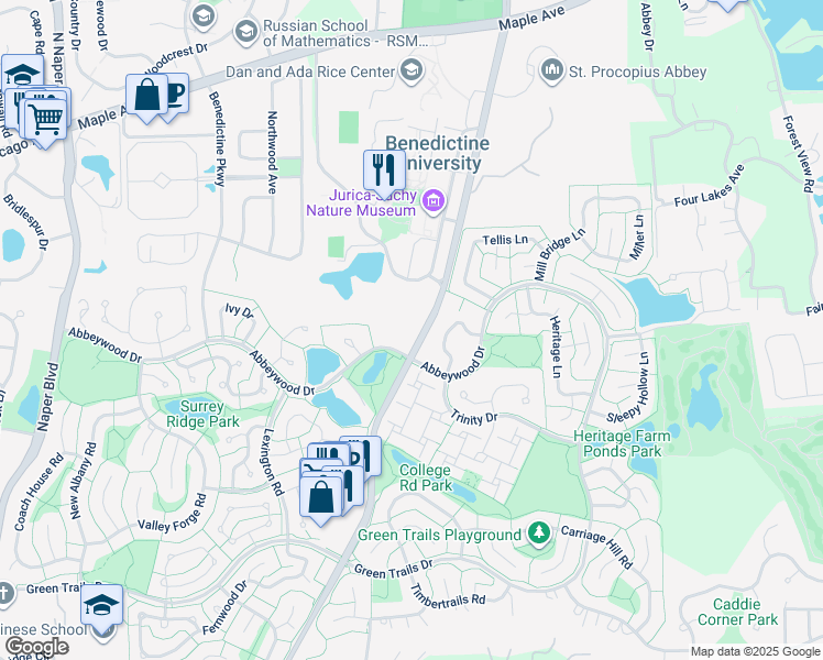 map of restaurants, bars, coffee shops, grocery stores, and more near 2226 Abbeywood Drive in Lisle