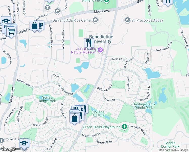 map of restaurants, bars, coffee shops, grocery stores, and more near 2230 Abbeywood Drive in Lisle
