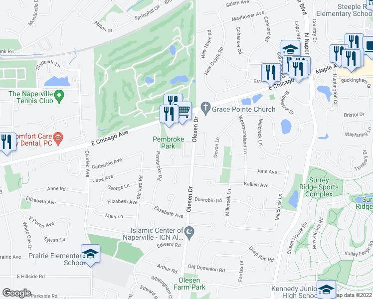 map of restaurants, bars, coffee shops, grocery stores, and more near 1253 Jane Avenue in Naperville