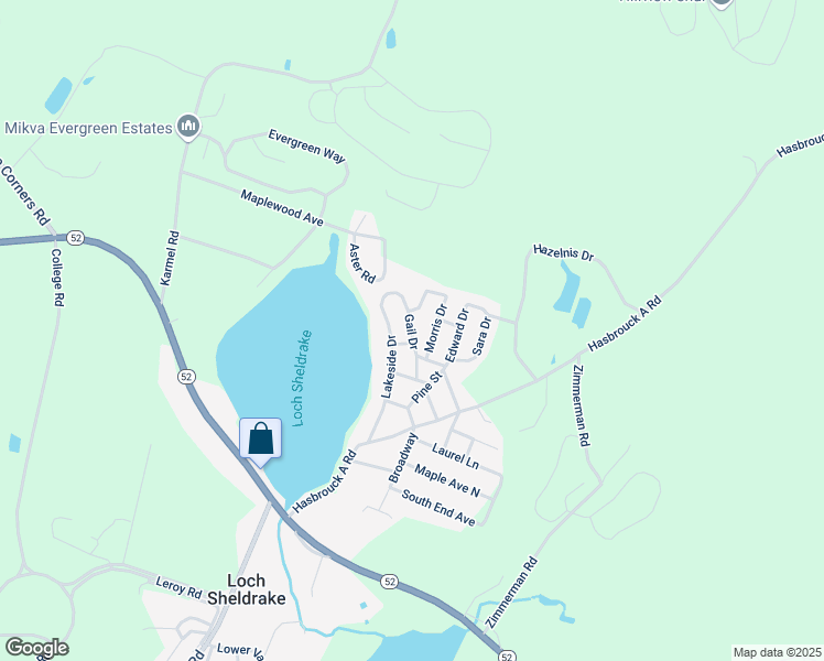 Gail Drive, Loch Sheldrake NY Walk Score