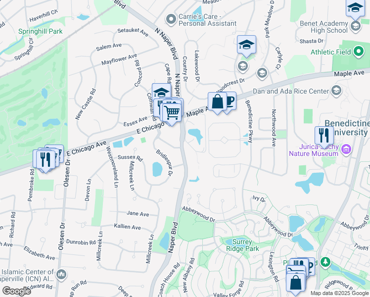 map of restaurants, bars, coffee shops, grocery stores, and more near 6S480 Naper Boulevard in Naperville