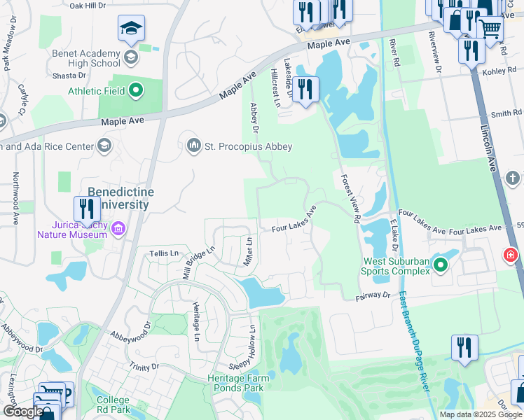 map of restaurants, bars, coffee shops, grocery stores, and more near 6410 Woodsbriar Court in Lisle