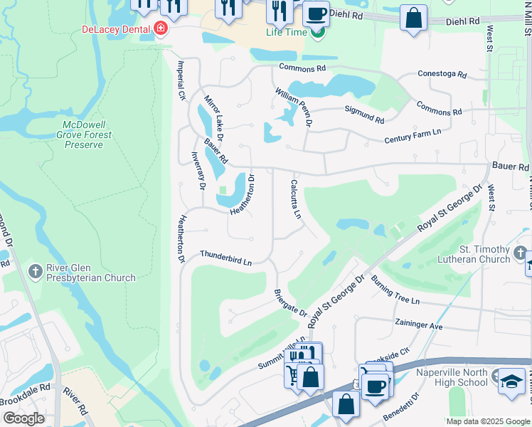 map of restaurants, bars, coffee shops, grocery stores, and more near 1456 Briergate Drive in Naperville
