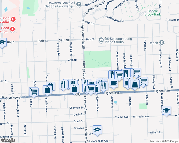 map of restaurants, bars, coffee shops, grocery stores, and more near 348 Shady Lane in Downers Grove