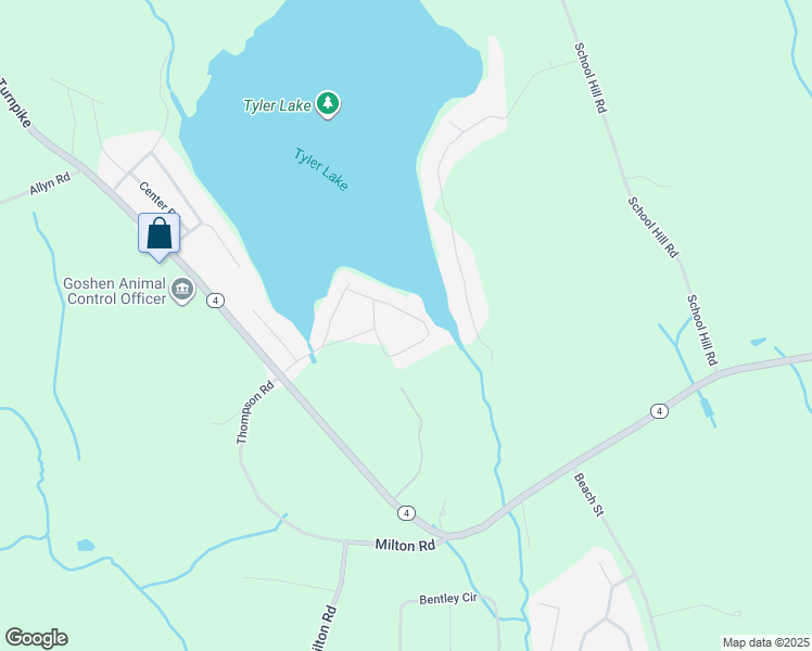 map of restaurants, bars, coffee shops, grocery stores, and more near 46 Cottage Grove Road in Goshen