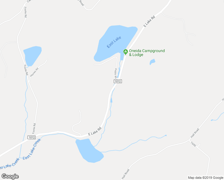 map of restaurants, bars, coffee shops, grocery stores, and more near East Lake Road in New Milford