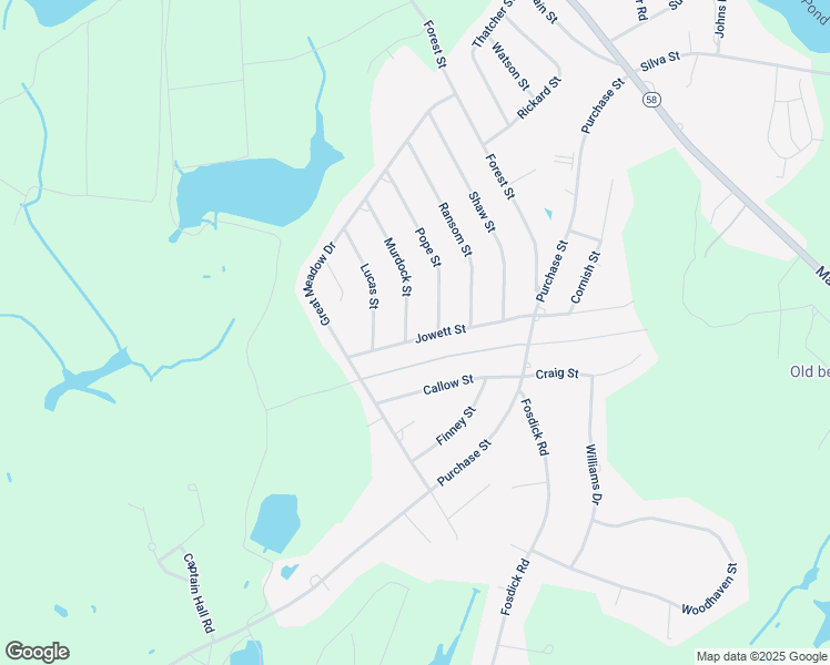 map of restaurants, bars, coffee shops, grocery stores, and more near 16 Jowett Street in Carver