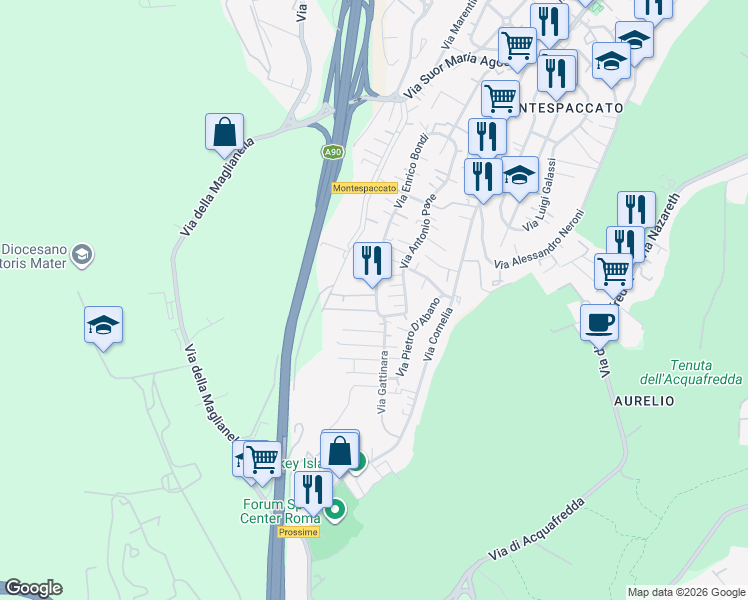 map of restaurants, bars, coffee shops, grocery stores, and more near 241 Via Enrico Bondi in Roma