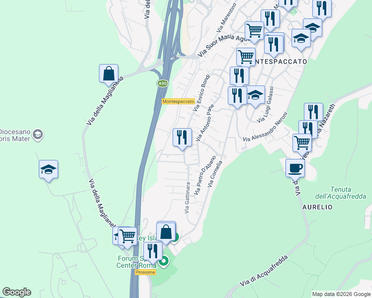 map of restaurants, bars, coffee shops, grocery stores, and more near 241 Via Enrico Bondi in Roma