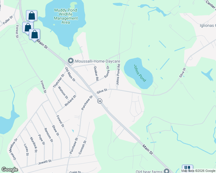 map of restaurants, bars, coffee shops, grocery stores, and more near 8 Silva Street in Carver