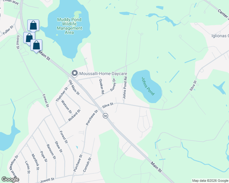 map of restaurants, bars, coffee shops, grocery stores, and more near 8 Silva Street in Carver