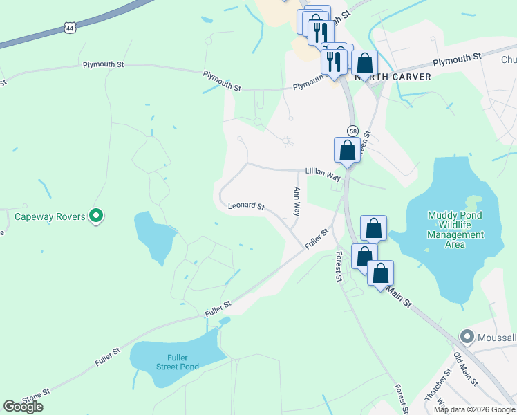 map of restaurants, bars, coffee shops, grocery stores, and more near 11 Leonard Street in Carver
