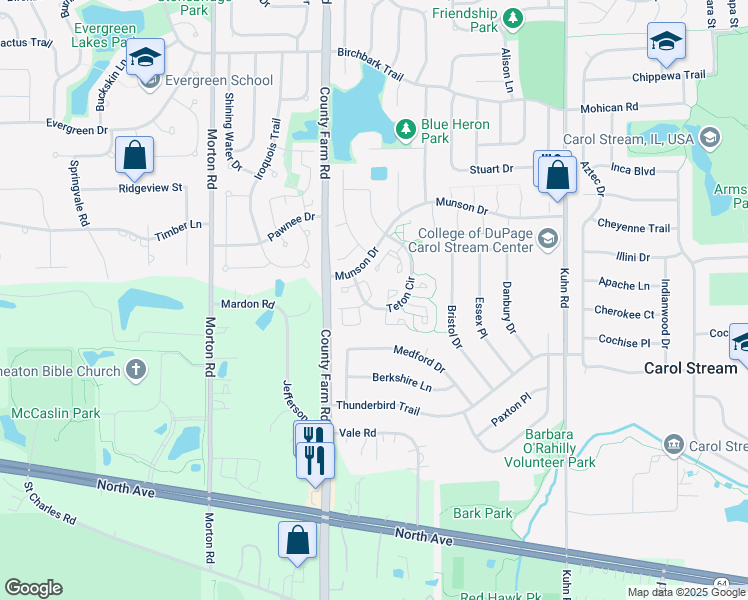 map of restaurants, bars, coffee shops, grocery stores, and more near 489 Nebraska Circle in Carol Stream