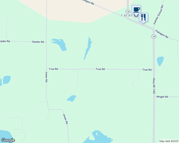 map of restaurants, bars, coffee shops, grocery stores, and more near 7234 True Road in Niles