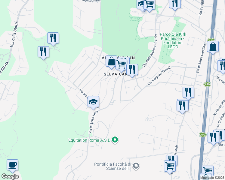 map of restaurants, bars, coffee shops, grocery stores, and more near 323 Via di Selva Nera in Roma