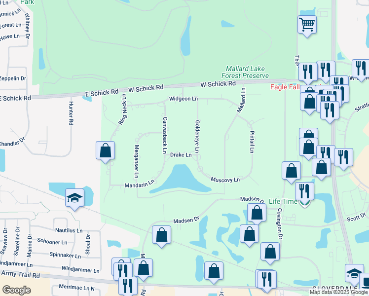 map of restaurants, bars, coffee shops, grocery stores, and more near 509 Drake Lane in Bloomingdale