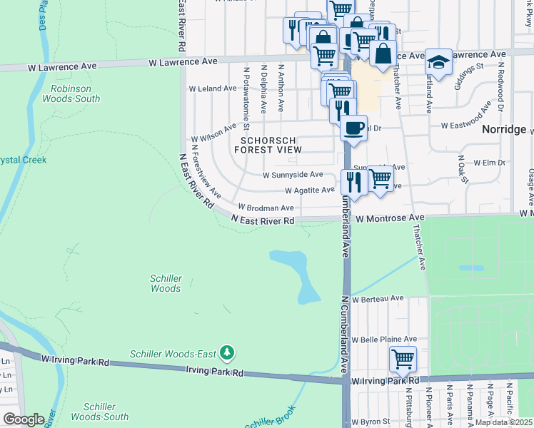 map of restaurants, bars, coffee shops, grocery stores, and more near 8555 West Brodman Avenue in Chicago