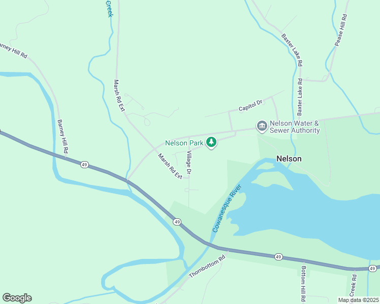 map of restaurants, bars, coffee shops, grocery stores, and more near in Nelson