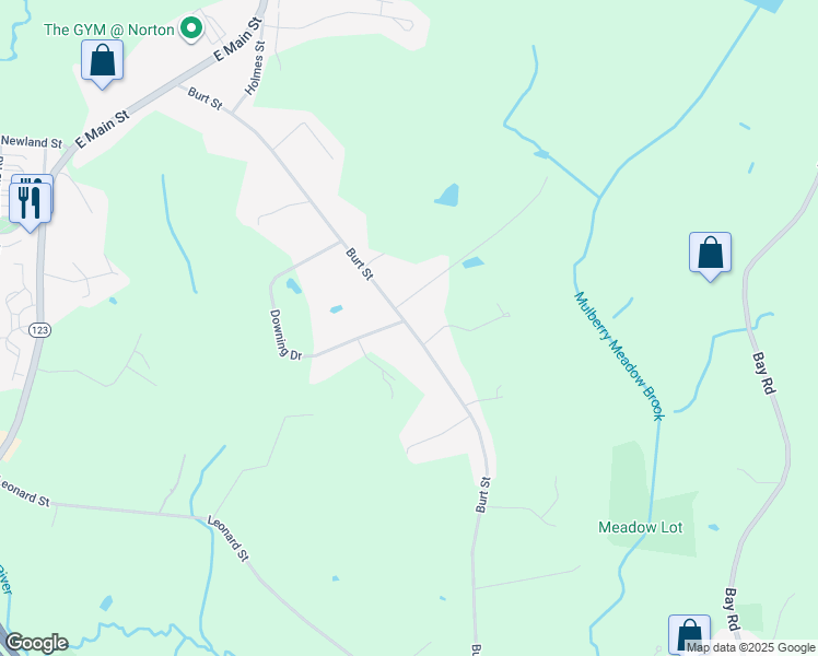 map of restaurants, bars, coffee shops, grocery stores, and more near Burt Street in Norton
