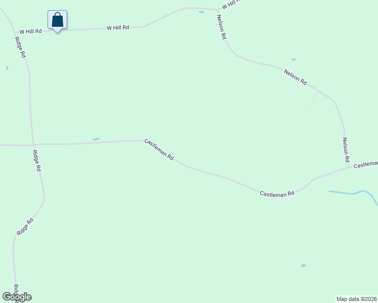 map of restaurants, bars, coffee shops, grocery stores, and more near 199 Castleman Road in Vestal