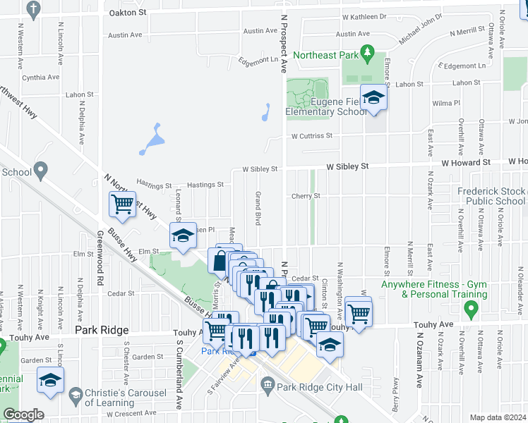 map of restaurants, bars, coffee shops, grocery stores, and more near 419 Grand Boulevard in Park Ridge