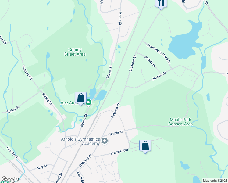map of restaurants, bars, coffee shops, grocery stores, and more near 8 Summer Street in Foxborough