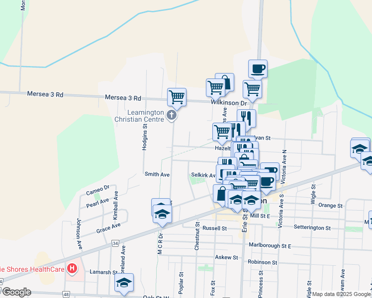 map of restaurants, bars, coffee shops, grocery stores, and more near 61 A Hazelton Street in Essex County