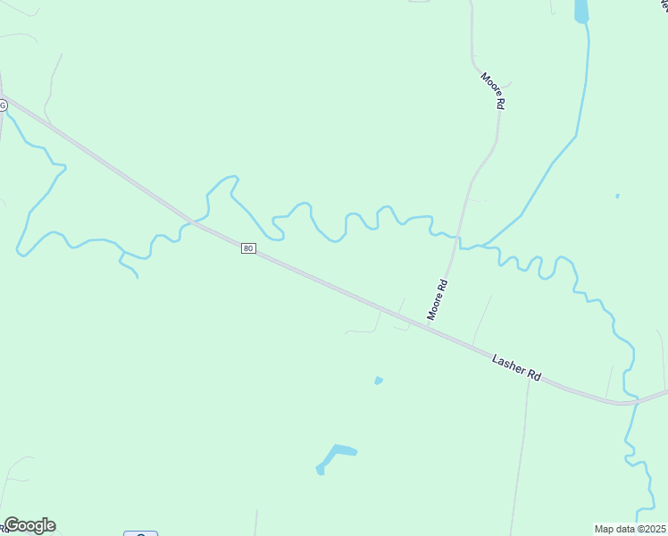 map of restaurants, bars, coffee shops, grocery stores, and more near 175 Lasher Road in Tivoli