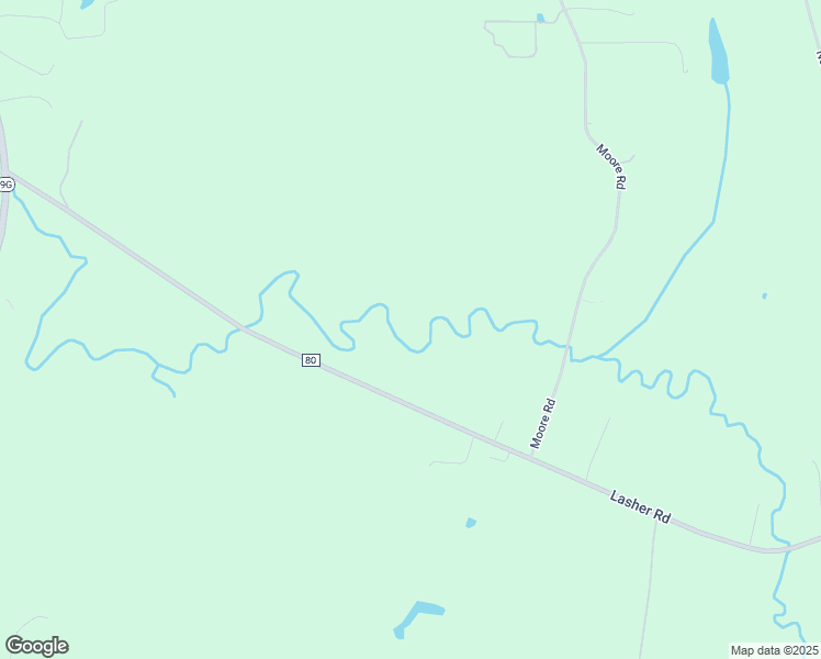 map of restaurants, bars, coffee shops, grocery stores, and more near 197 Lasher Road in Tivoli