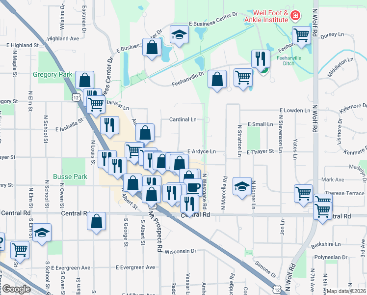 map of restaurants, bars, coffee shops, grocery stores, and more near 1100 East Ardyce Lane in Mount Prospect