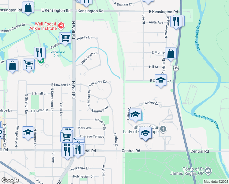 map of restaurants, bars, coffee shops, grocery stores, and more near 880 Kylemore Drive in Des Plaines