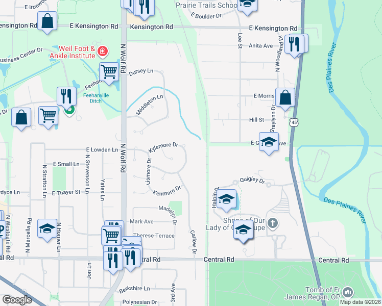 map of restaurants, bars, coffee shops, grocery stores, and more near 880 Kylemore Drive in Des Plaines