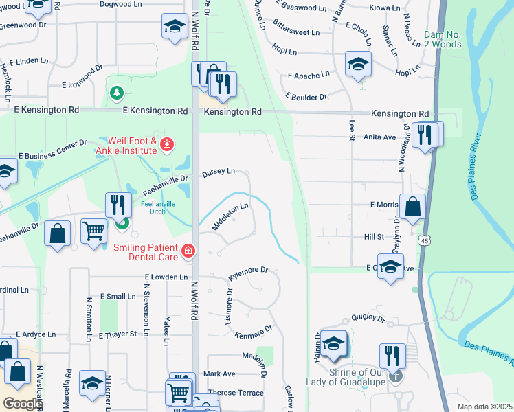 map of restaurants, bars, coffee shops, grocery stores, and more near 1350 Dursey Lane in Des Plaines