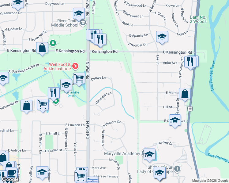 map of restaurants, bars, coffee shops, grocery stores, and more near 1350 Dursey Lane in Des Plaines