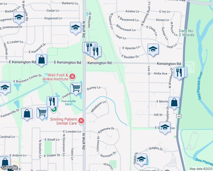 map of restaurants, bars, coffee shops, grocery stores, and more near 730 Dursey Lane in Des Plaines