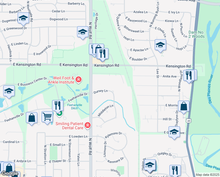 map of restaurants, bars, coffee shops, grocery stores, and more near 730 Dursey Lane in Des Plaines