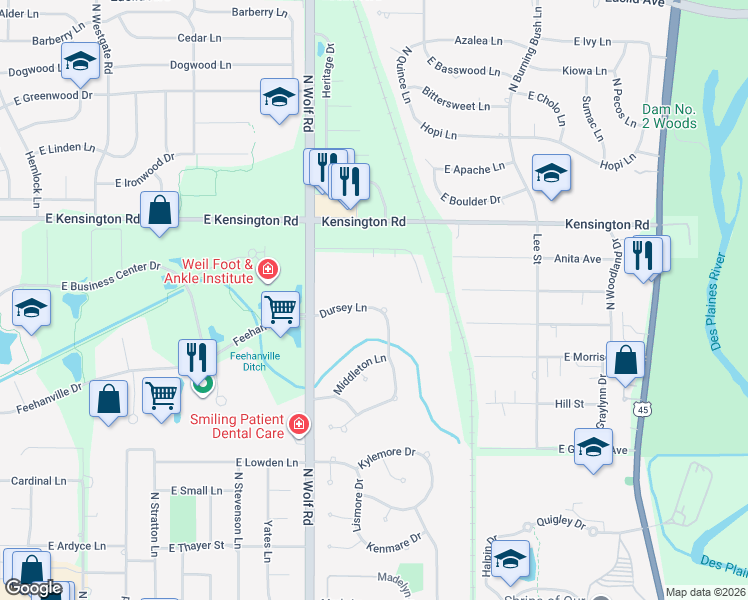 map of restaurants, bars, coffee shops, grocery stores, and more near 730 Dursey Lane in Des Plaines