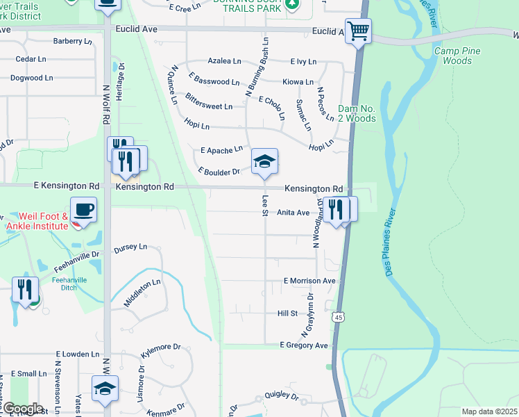 map of restaurants, bars, coffee shops, grocery stores, and more near 139 Anita Avenue in Mount Prospect