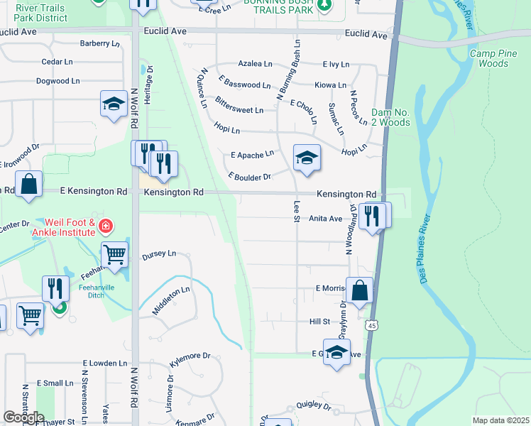 map of restaurants, bars, coffee shops, grocery stores, and more near 139 Anita Avenue in Mount Prospect