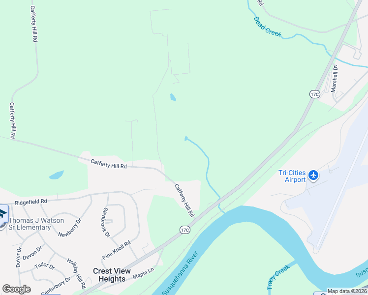 map of restaurants, bars, coffee shops, grocery stores, and more near 758 Cafferty Hill Road in Endicott