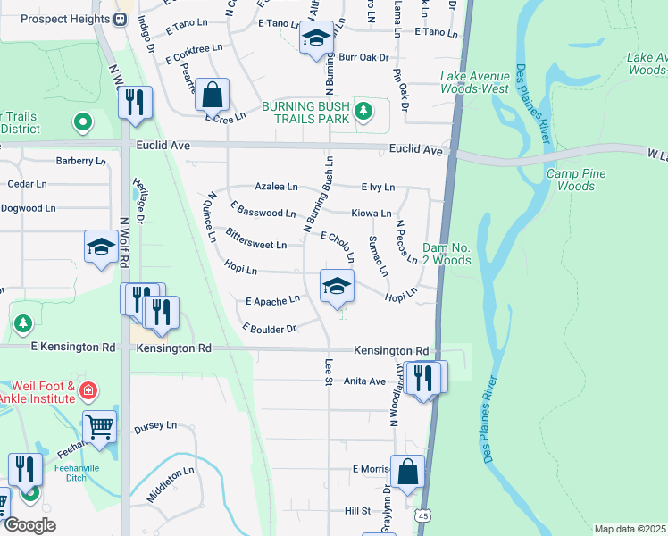 map of restaurants, bars, coffee shops, grocery stores, and more near 1915 East Cholo Lane in Mount Prospect