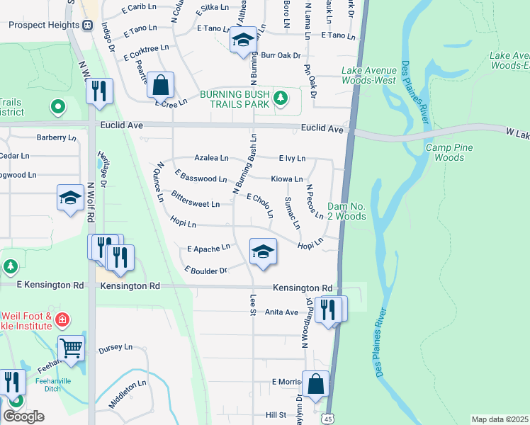map of restaurants, bars, coffee shops, grocery stores, and more near 1915 East Cholo Lane in Mount Prospect