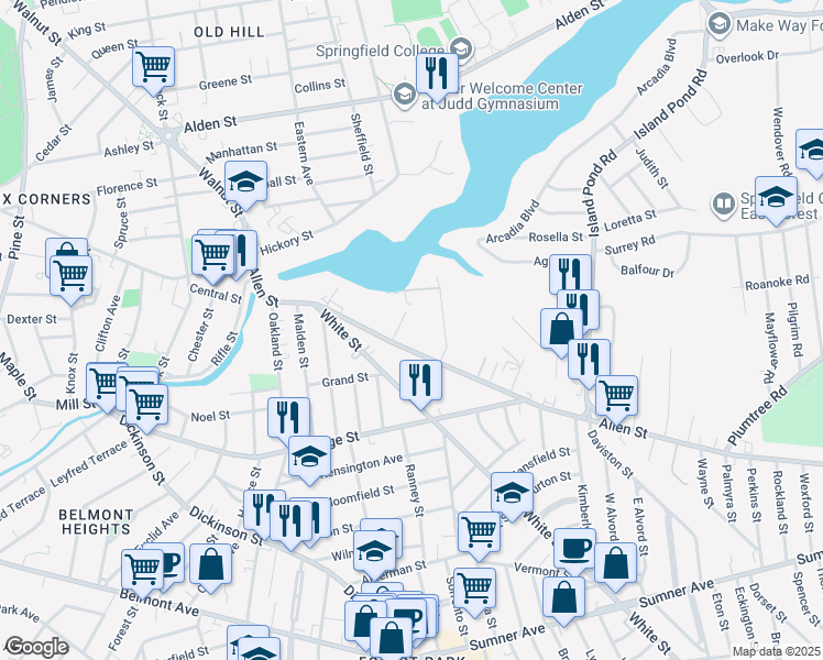 map of restaurants, bars, coffee shops, grocery stores, and more near 19 Hunt Street in Springfield