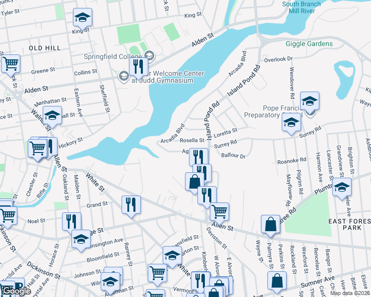 map of restaurants, bars, coffee shops, grocery stores, and more near 54 Agnes Street in Springfield