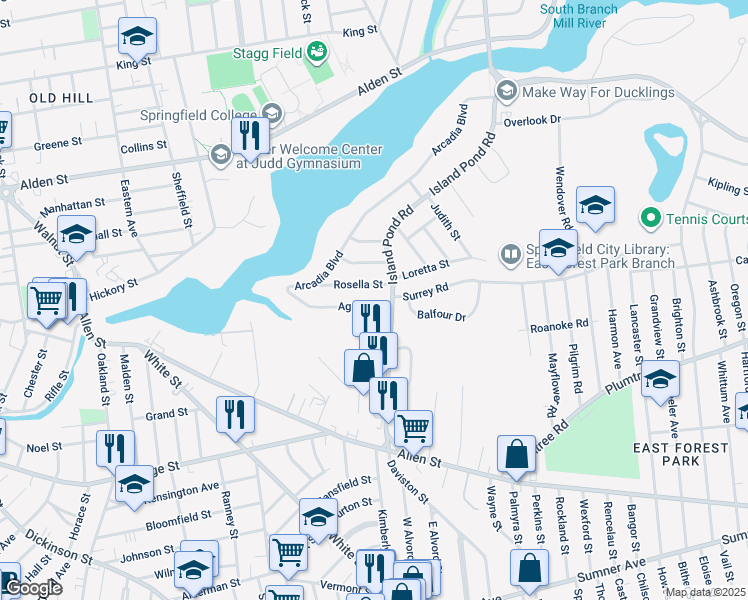 map of restaurants, bars, coffee shops, grocery stores, and more near 33 Agnes Street in Springfield